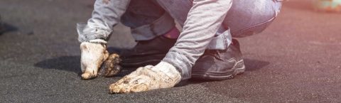 Roofing Specialist Wigan